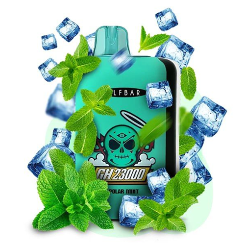 Ice Mint  Elfbar GH23000 Puffs Disposable Vape Ct-10